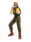 John Crawley Art of Fighting