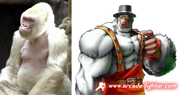 Copito de Nieve - Greg The Gorilla Bloody Roar