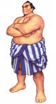 Edmond Honda Capcom VS SNK