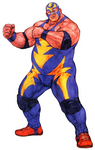 Raiden Capcom VS SNK