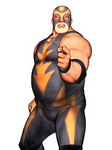 Raiden Capcom VS SNK