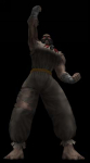 Raidou Dead or Alive