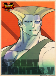 Tarjeta Guile Street Fighter V