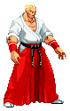 Sprite Geese Howard CVS Pro