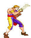Sprite Vega CVS Pro
