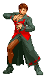 Sprite Vice CVS Pro