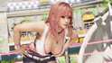 Pantallazo Dead or Alive 6 Last Round
