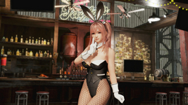 [Revival] Sexy Bunny Costume Honoka DOA6