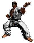 Fatal Fury: COTW Artwork