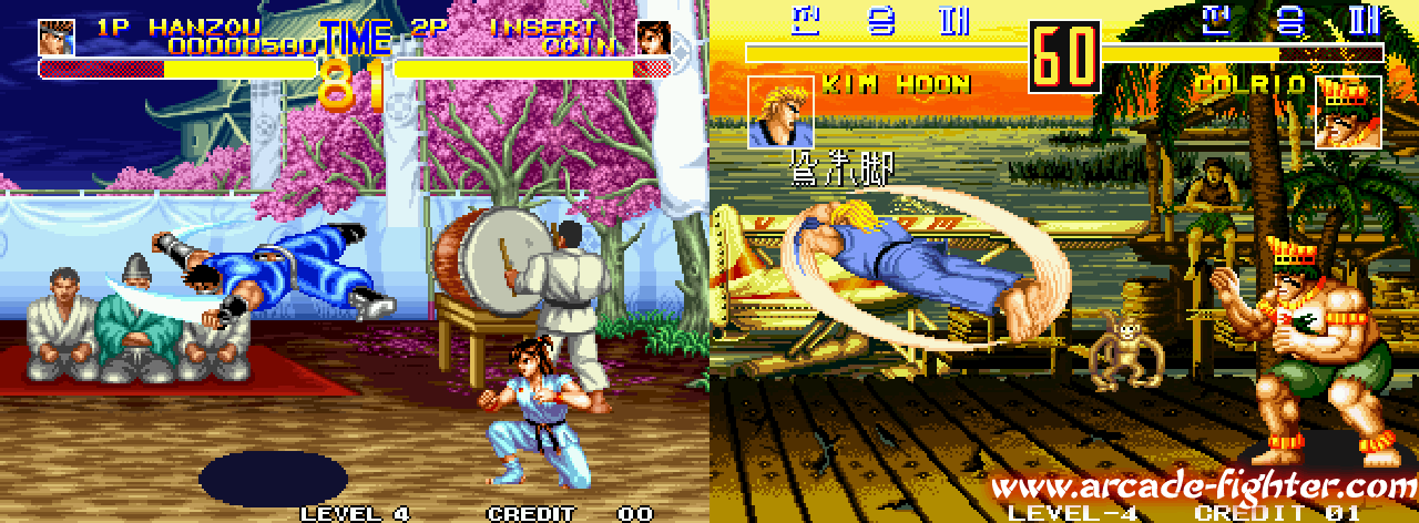 Fight Fever copia/pega