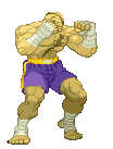 Sprite Sagat Street Fighter Alpha