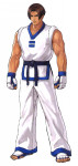 Artwork Kim Kaphwan KOF XIV