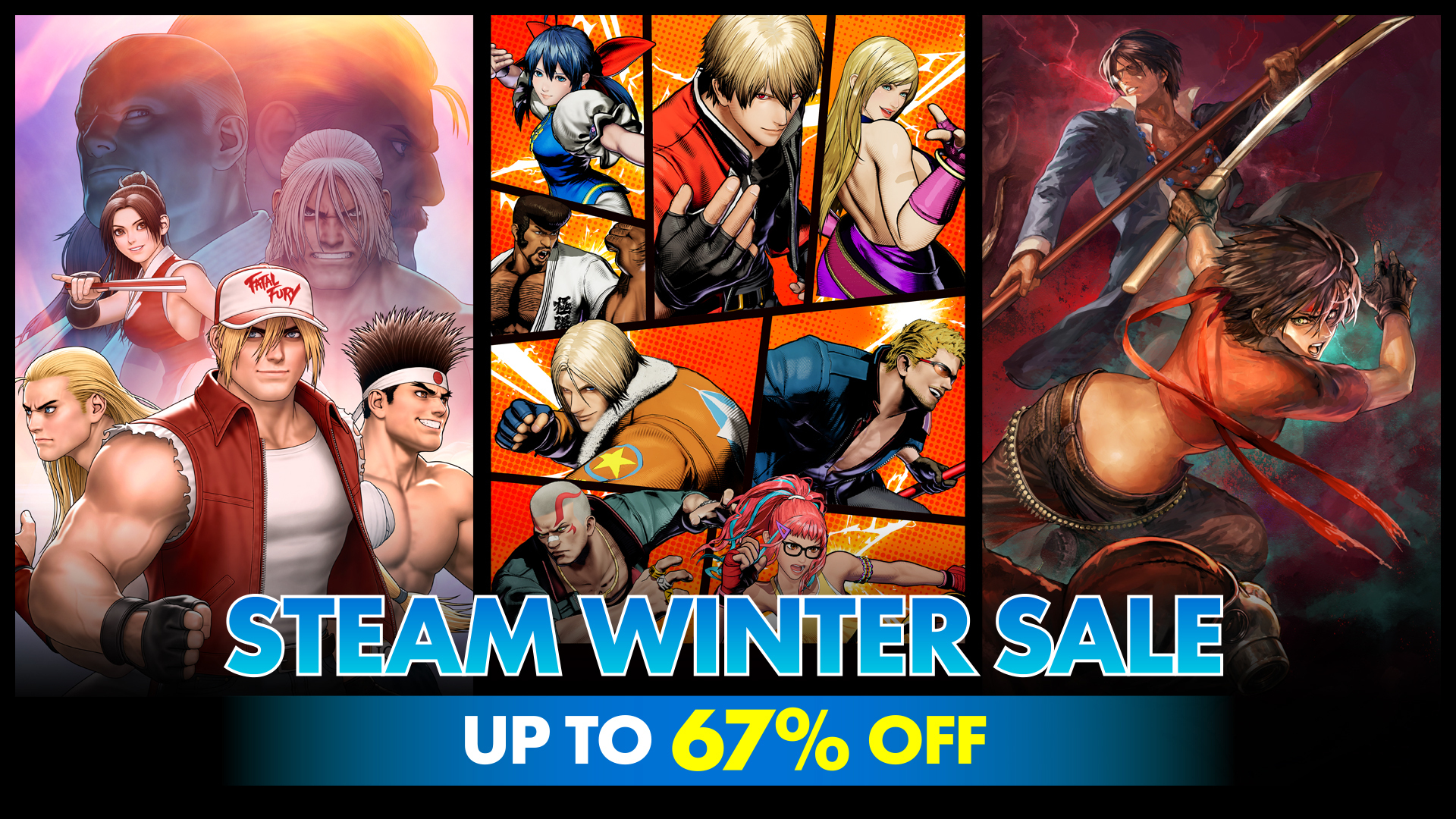 Steam Winter Sale SNK