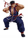 Akira Yuki Project X Zone