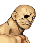 Retrato Sagat CVS Pro