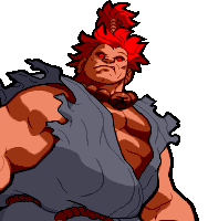 Retrato Hyper Combo Akuma