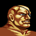 Retrato Sagat Street Fighter II TWW