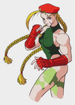 Cammy Street Fighter II: The Animated Movie