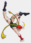 Cammy Street Fighter II: The Animated Movie