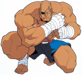 Sagat Street Fighter II: The Animated Movie