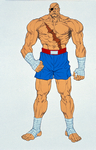 Sagat Street Fighter 2 Turbo