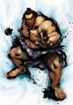 Honda Street Fighter 4