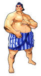 Honda Street Fighter Alpha 3