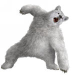 Kuma Tekken 5 DR