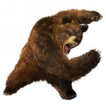 Kuma Tekken 5