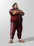 Ganryu Tekken Hybrid