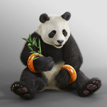 Panda Tekken Hybrid