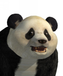 Panda Tekken Tag Tournamnent