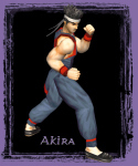 Akira Yuki Virtua Fighter 2